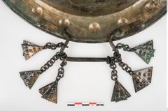 Foto von Bronzebreitrandschale (NHMW-PRAE-025246)